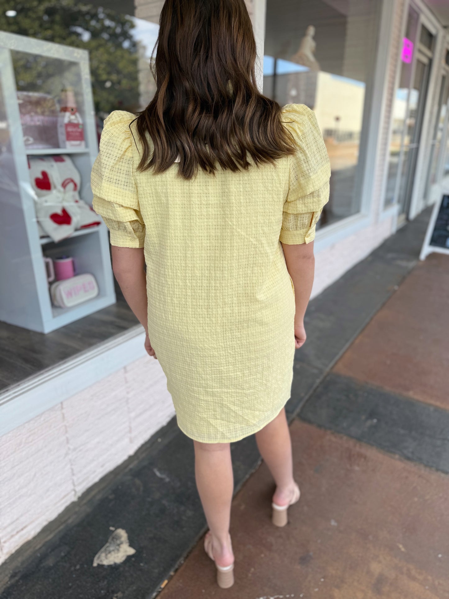 Perfectly Precious Dress