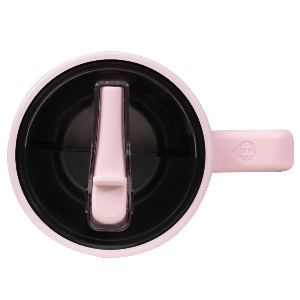 Pink Gingham Traveler (20oz)