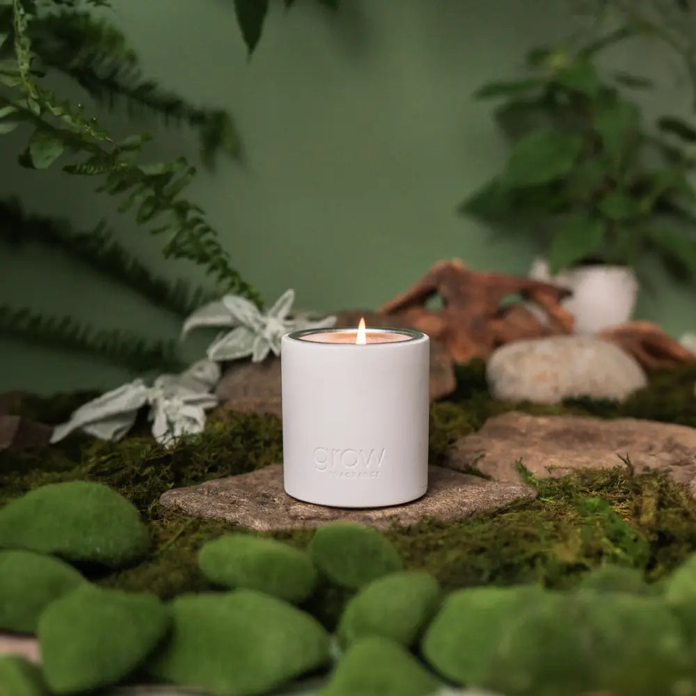 Woodland Sage Candle Refill