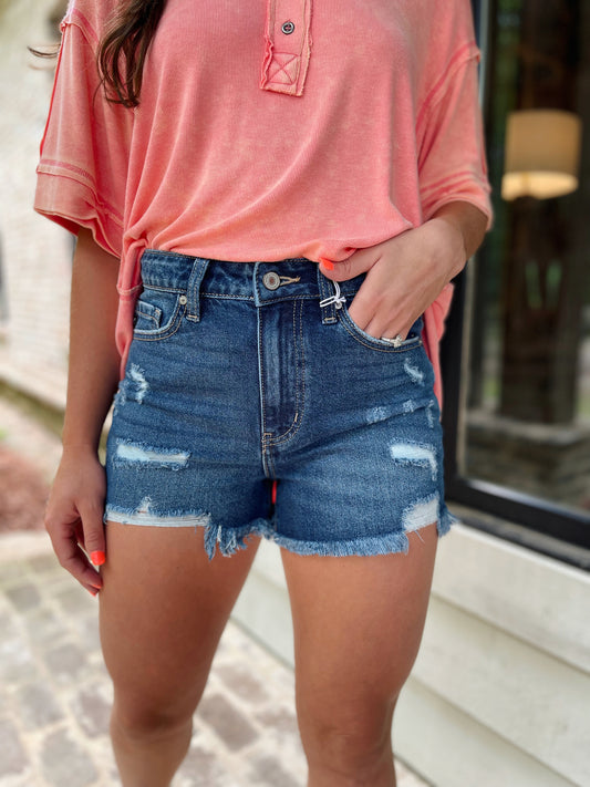 Stay Sunny High Rise Frayed Hem Shorts