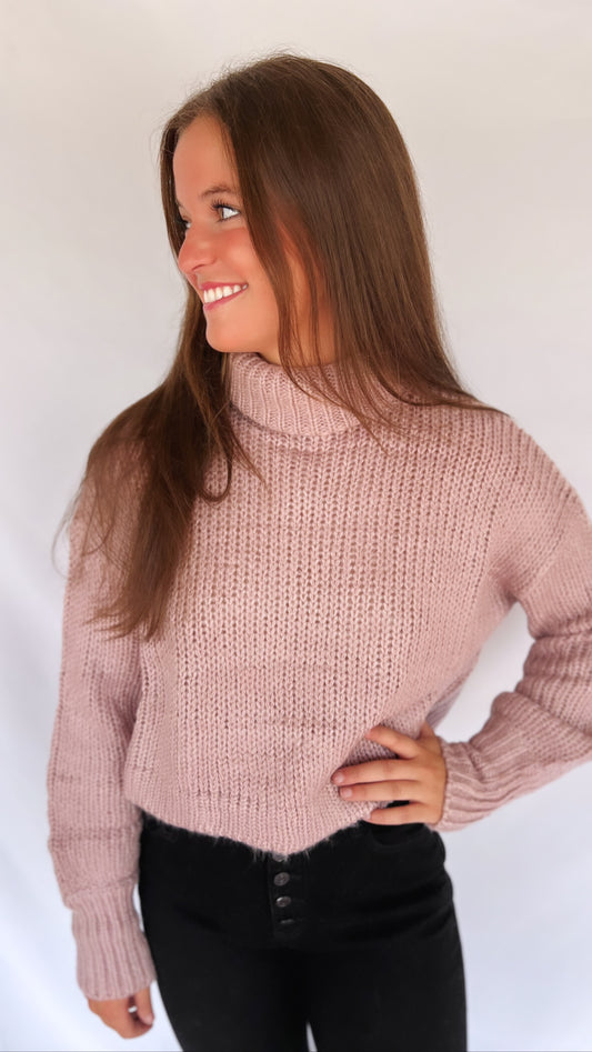 Chill in the Air Cropped Turtleneck